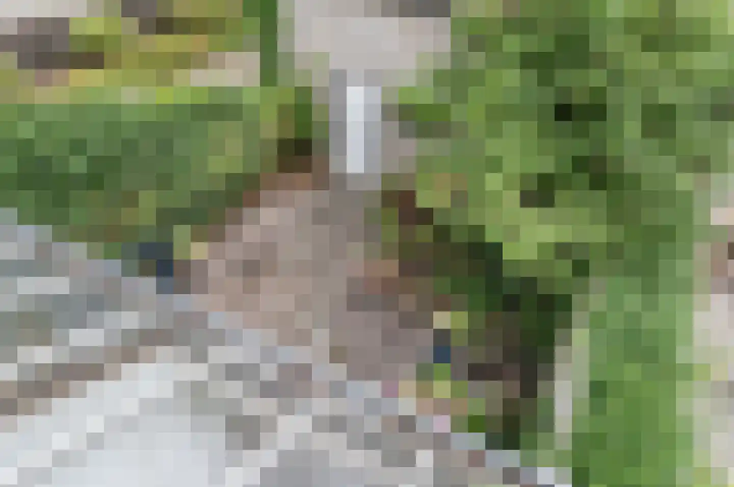 Nieuwe Plantage 108 Delft thumbnail 36
