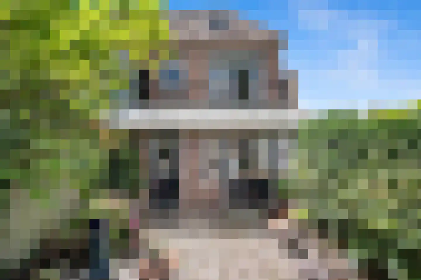 Nieuwe Plantage 108 Delft thumbnail 5