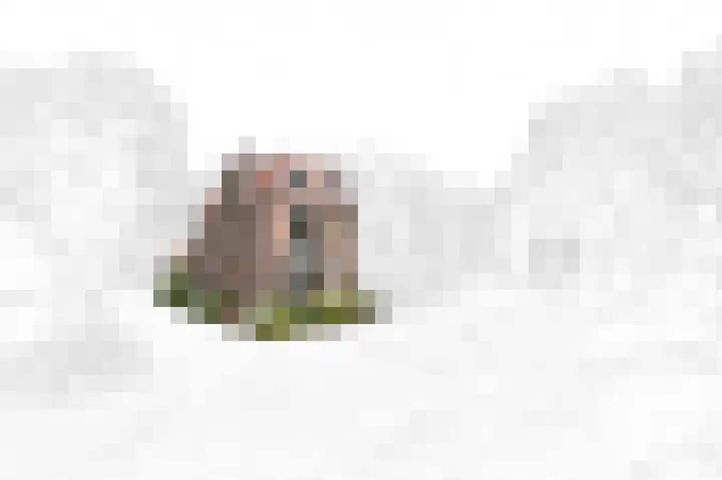 Nieuwe Plantage 108 Delft thumbnail 6