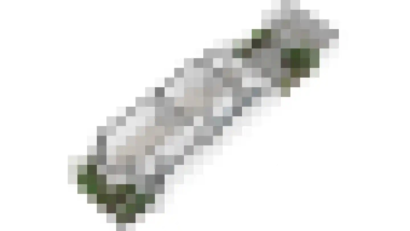 Nieuwe Plantage 108 Delft thumbnail 73