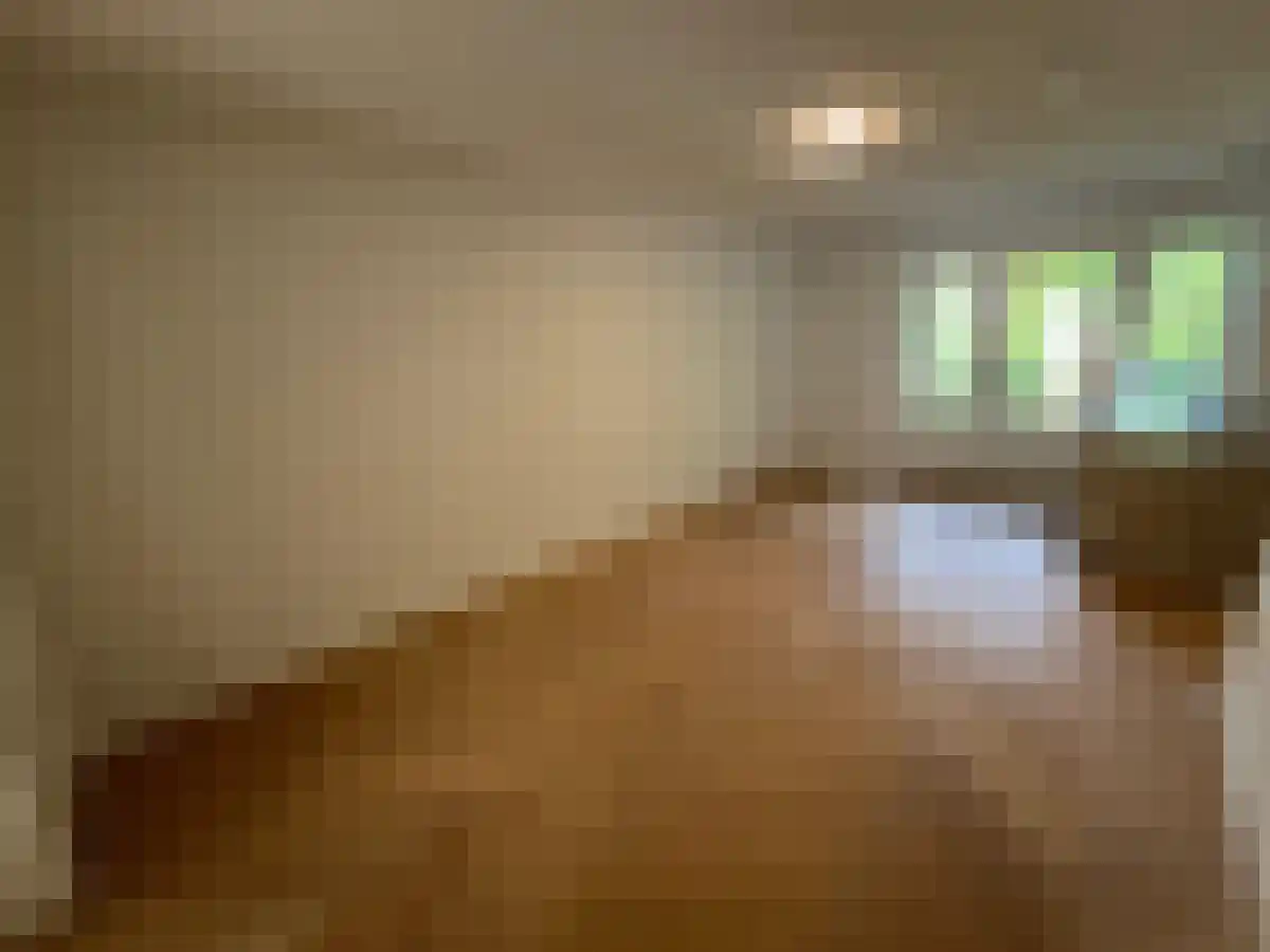 Nieuwe Plantage 8 Delft thumbnail 5