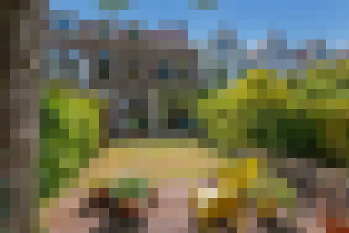 Nieuwe Plantage 90 Delft thumbnail 4