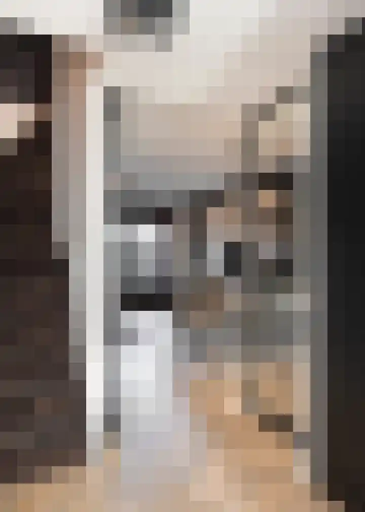 Nieuwe Plein 28 Harskamp thumbnail 16