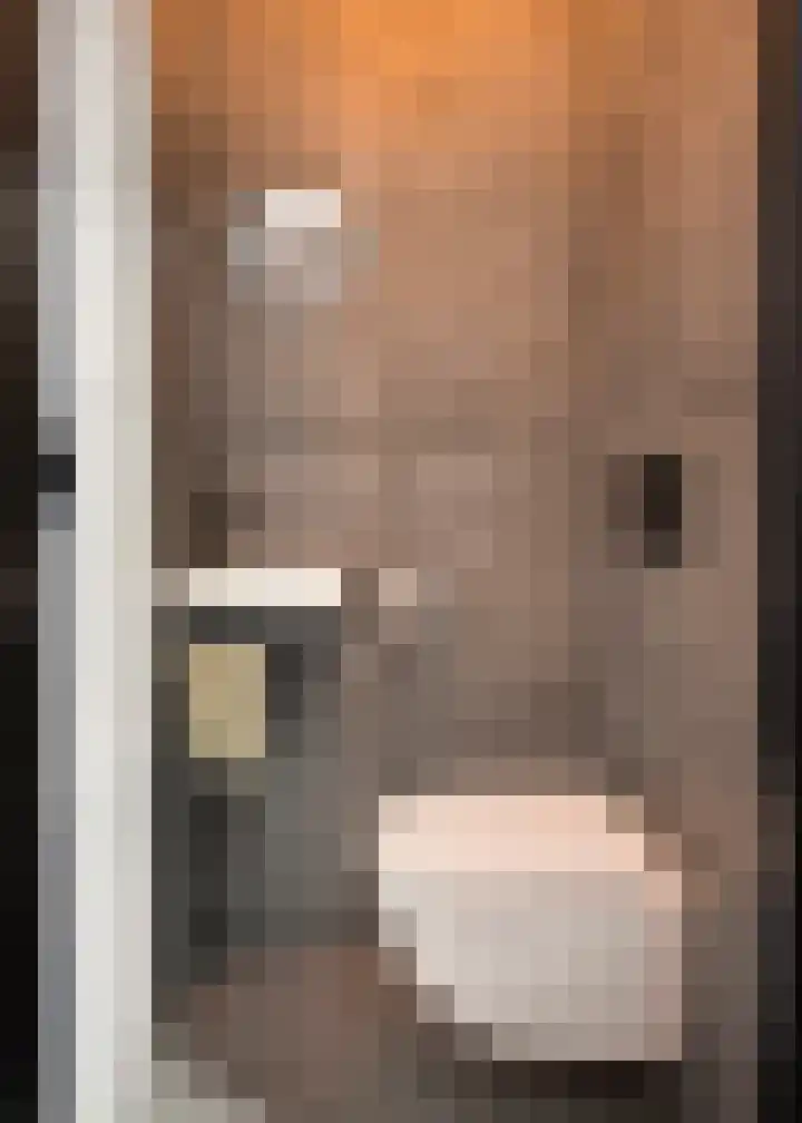 Nieuwe Plein 28 Harskamp thumbnail 17