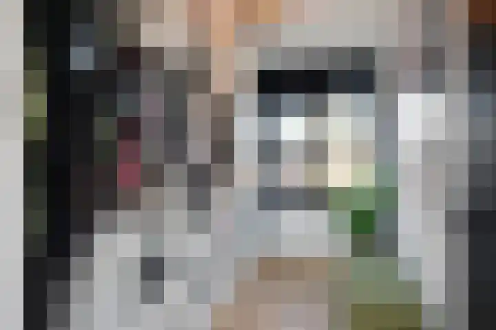 Nieuwe Plein 28 Harskamp thumbnail 23