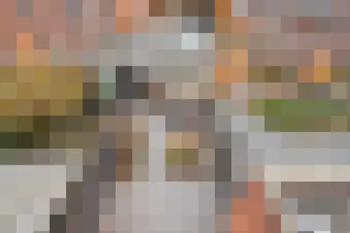 Nieuwe Plein 28 Harskamp thumbnail 36