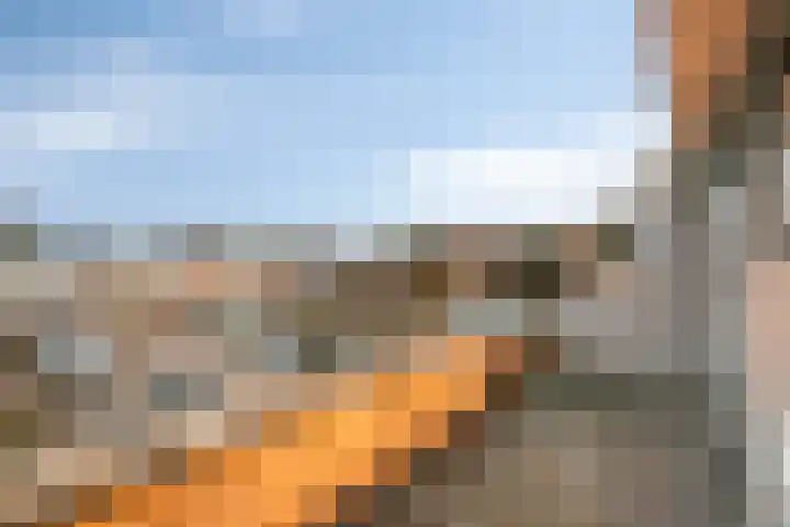 Nieuwe Plein 28 Harskamp thumbnail 38