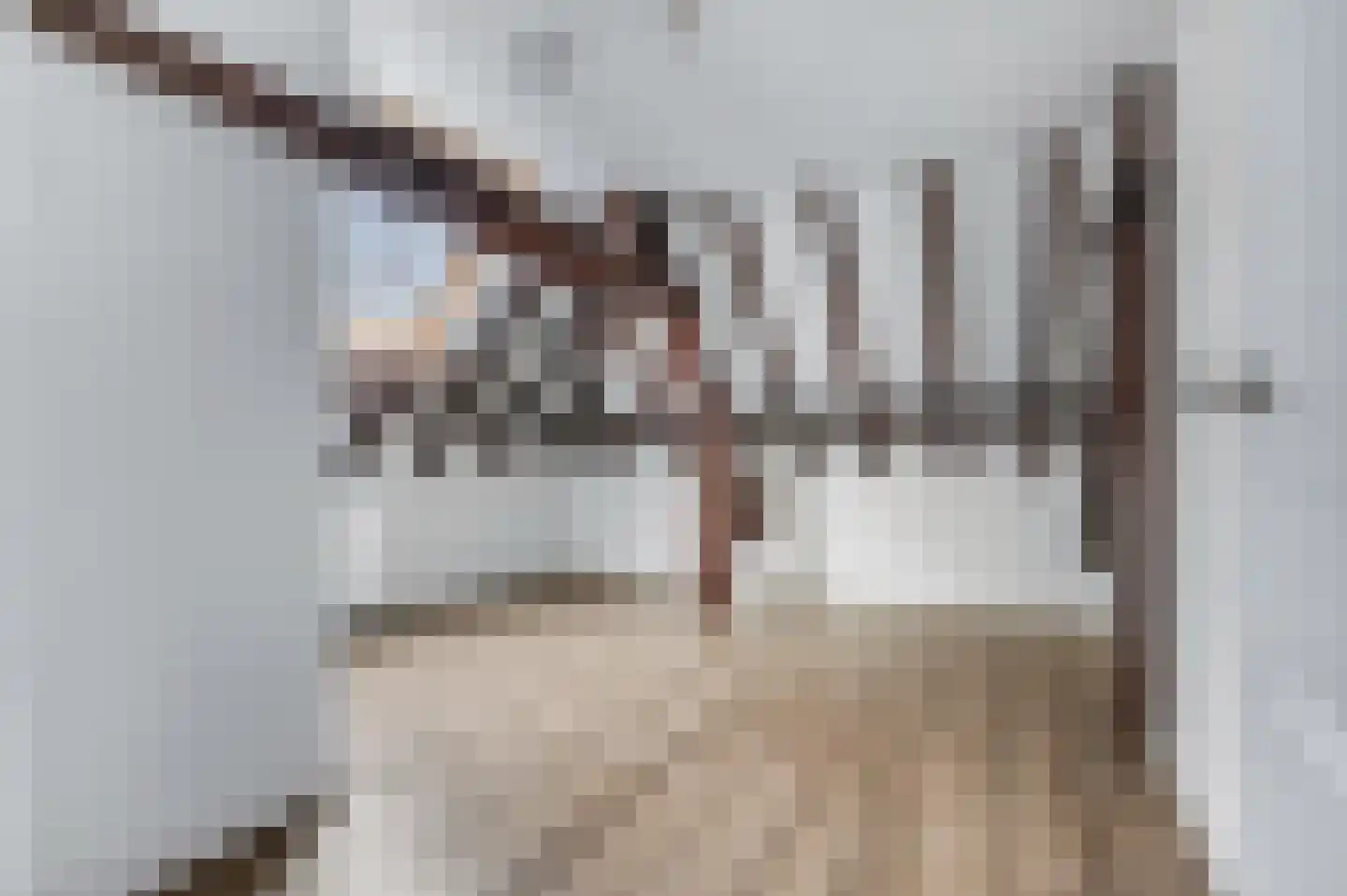 Nieuwe Plein 5 3 Arnhem thumbnail 11