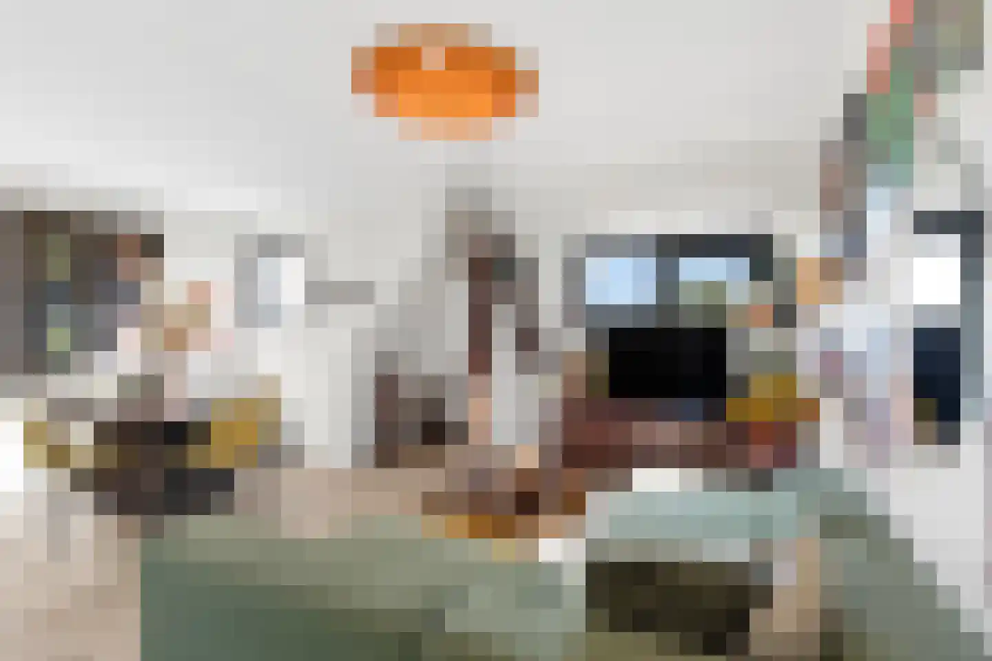 Nieuwe Plein 7 3 Arnhem thumbnail 6