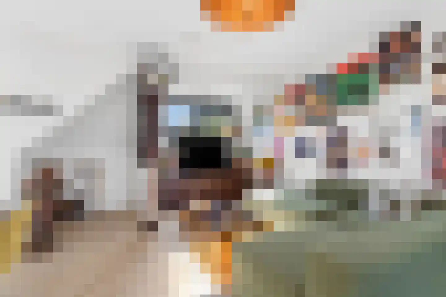 Nieuwe Plein 7 3 Arnhem thumbnail 7