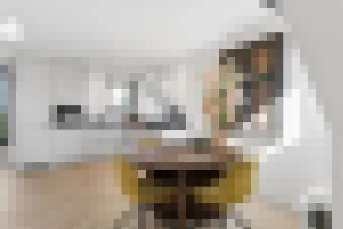 Nieuwe Plein 7 3 Arnhem thumbnail 8