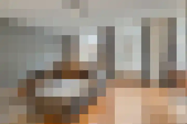 Nieuwe Plein 8 6 Arnhem thumbnail 4