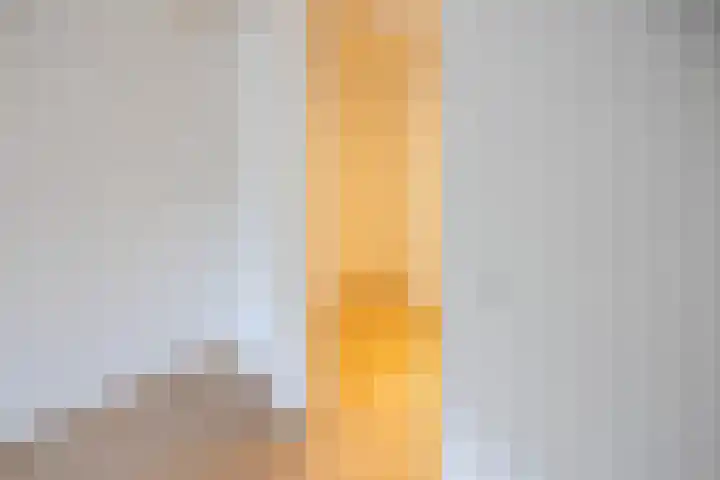 Nieuwe Prinsengracht 100 1 Amsterdam thumbnail 16