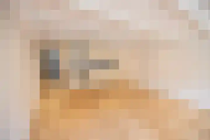 Nieuwe Prinsengracht 100 1 Amsterdam thumbnail 18