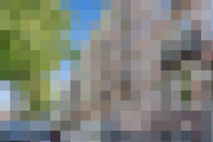 Nieuwe Prinsengracht 100 1 Amsterdam thumbnail 20