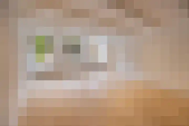 Nieuwe Prinsengracht 100 1 Amsterdam thumbnail 4