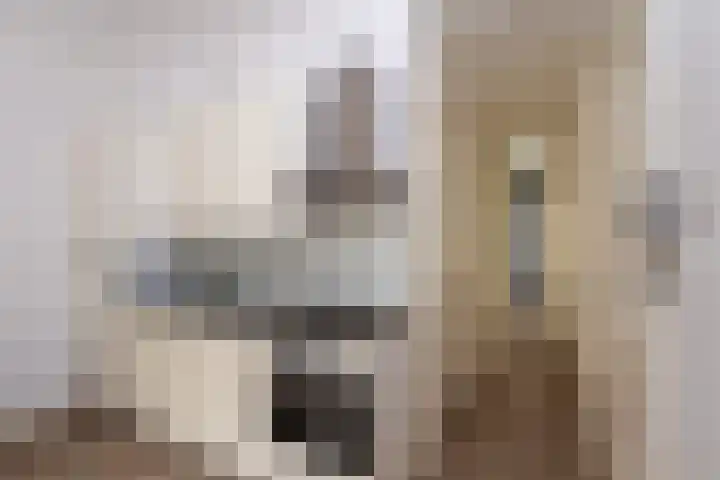 Nieuwe Prinsengracht 100 1 Amsterdam thumbnail 5