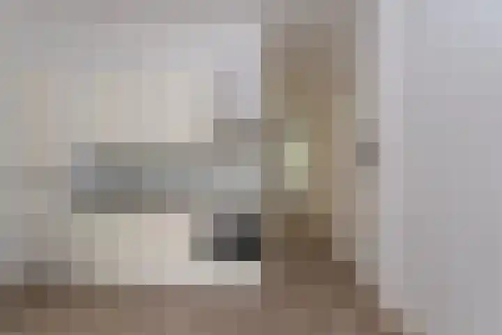 Nieuwe Prinsengracht 100 1 Amsterdam thumbnail 6