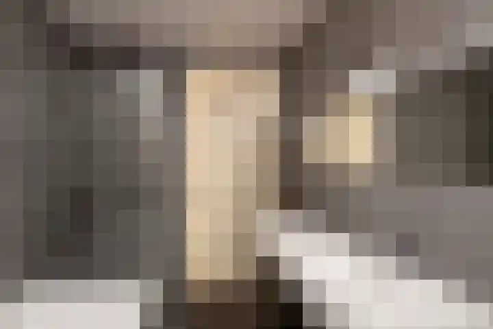 Nieuwe Prinsengracht 100 1 Amsterdam thumbnail 8
