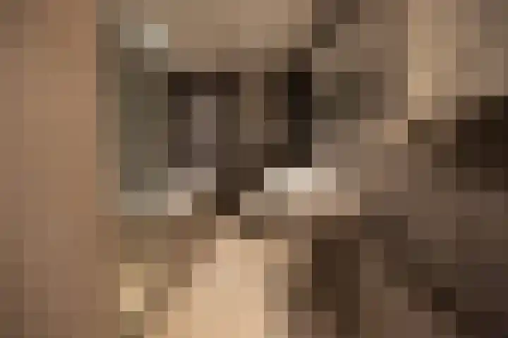 Nieuwe Prinsengracht 100 1 Amsterdam thumbnail 9