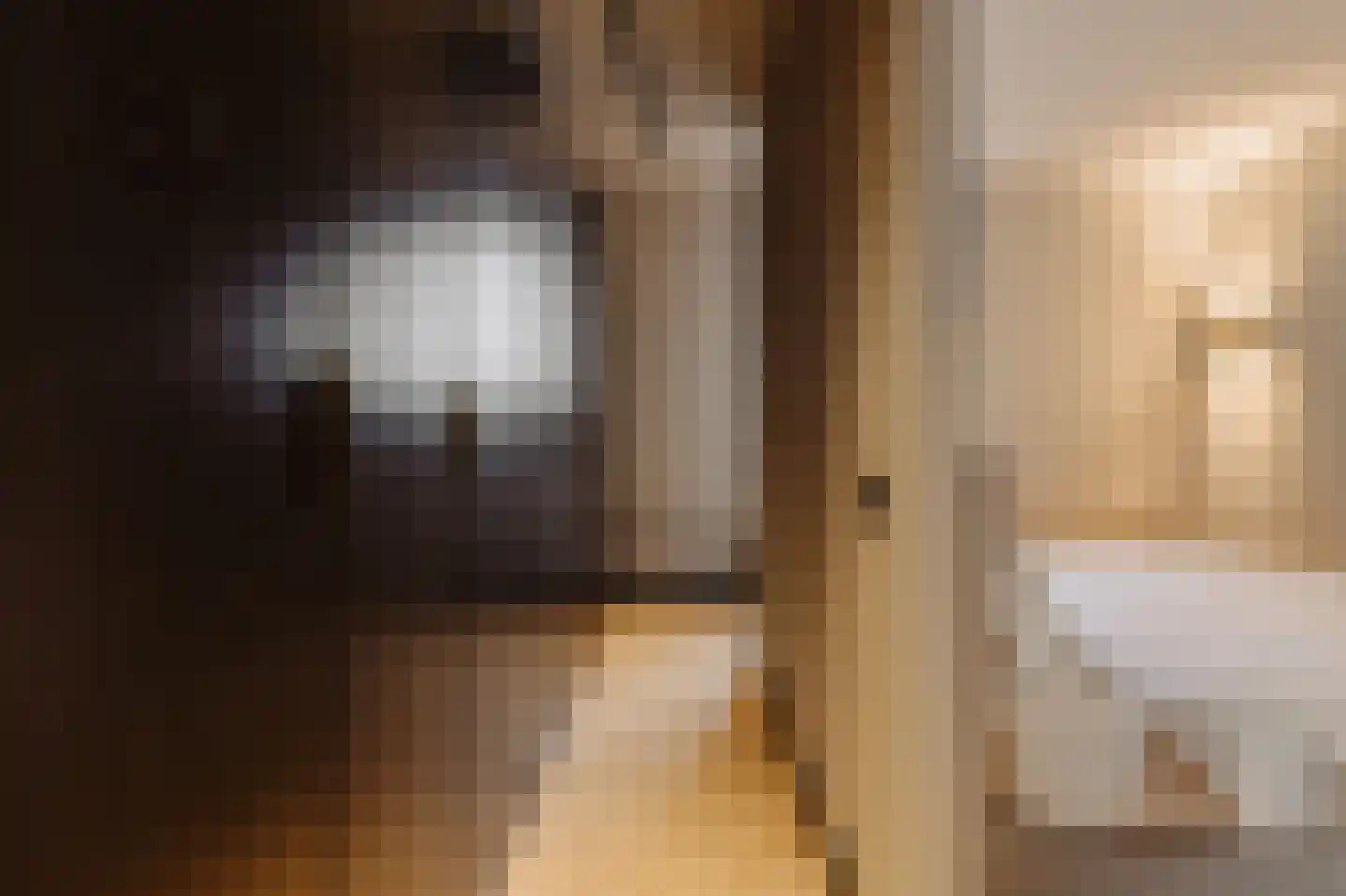 Nieuwe Prinsengracht 102 2 Amsterdam thumbnail 19