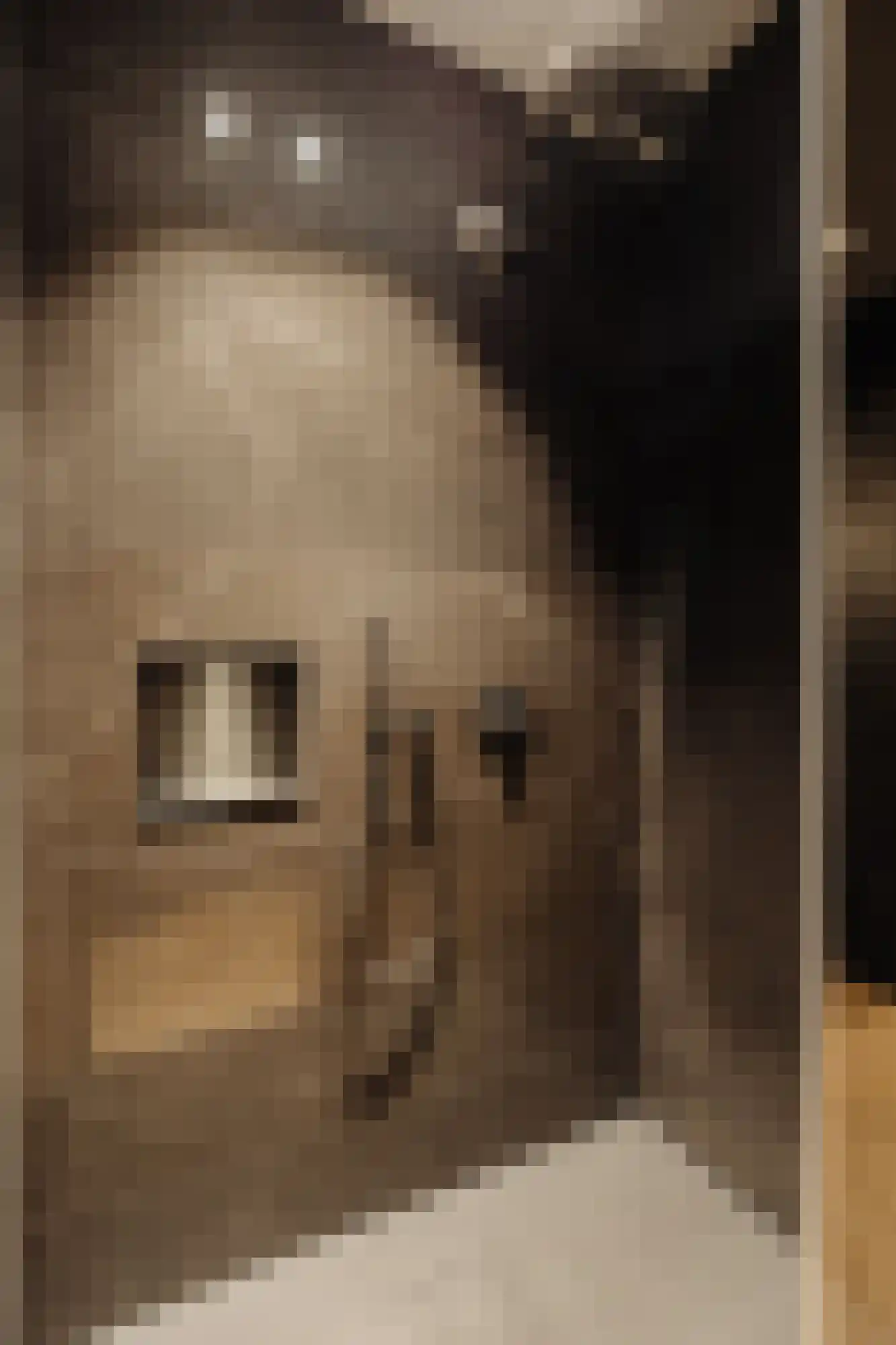 Nieuwe Prinsengracht 102 2 Amsterdam thumbnail 22