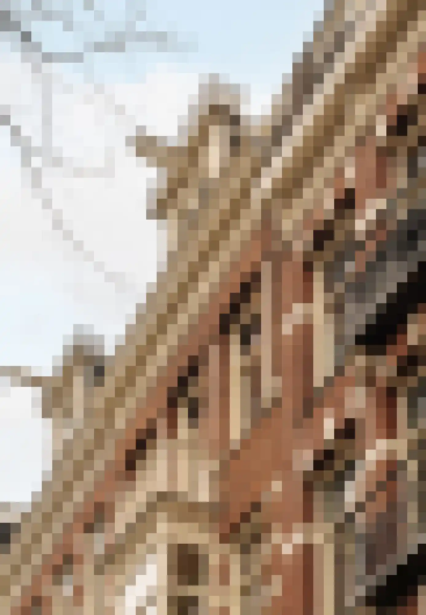 Nieuwe Prinsengracht 102 2 Amsterdam thumbnail 37