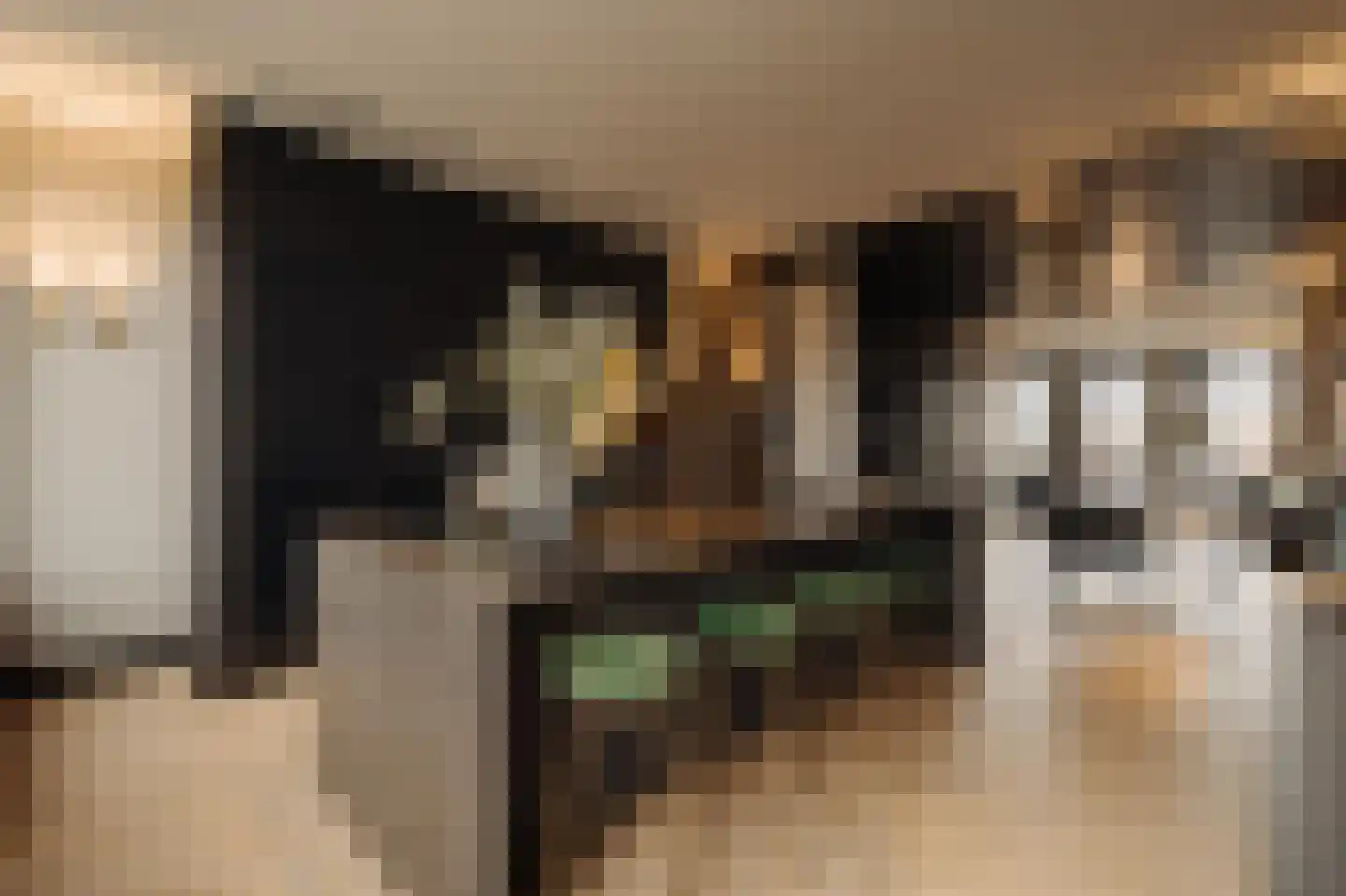 Nieuwe Prinsengracht 102 H Amsterdam thumbnail 12