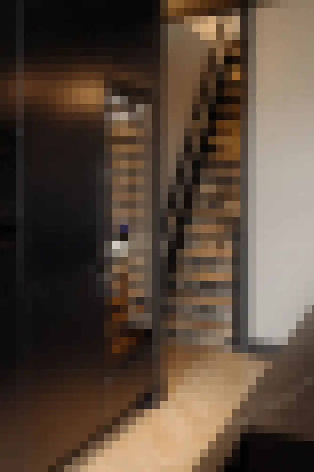 Nieuwe Prinsengracht 102 H Amsterdam thumbnail 15