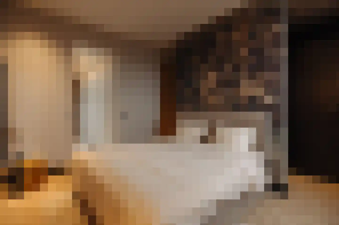 Nieuwe Prinsengracht 102 H Amsterdam thumbnail 18
