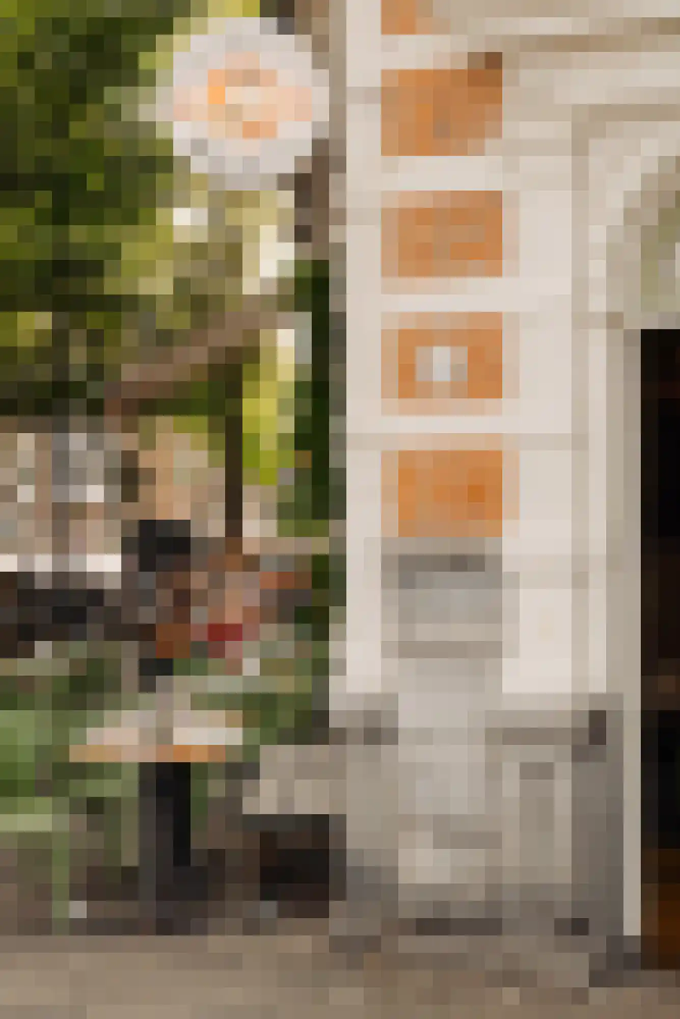 Nieuwe Prinsengracht 102 H Amsterdam thumbnail 40