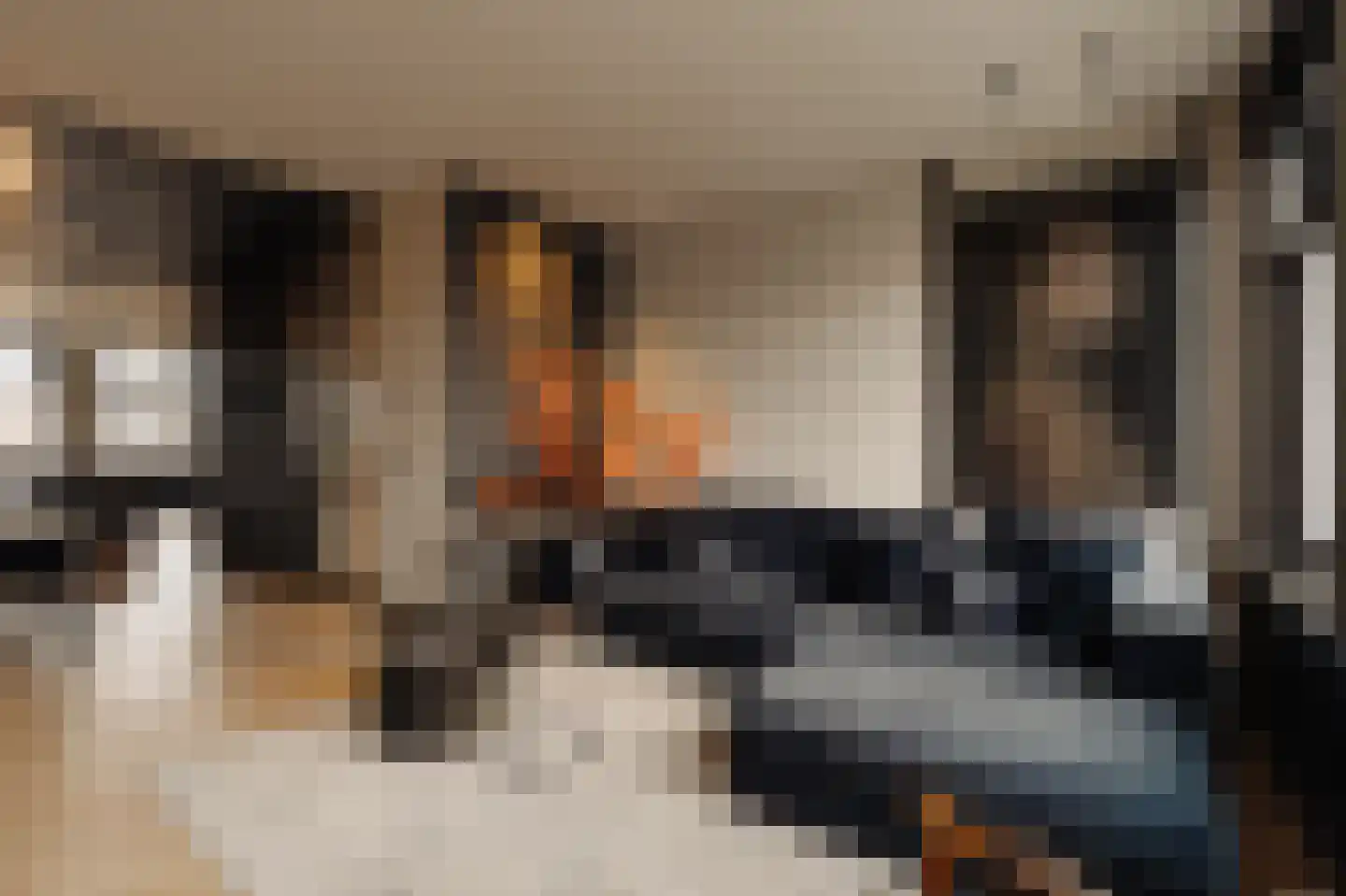 Nieuwe Prinsengracht 102 H Amsterdam thumbnail 5