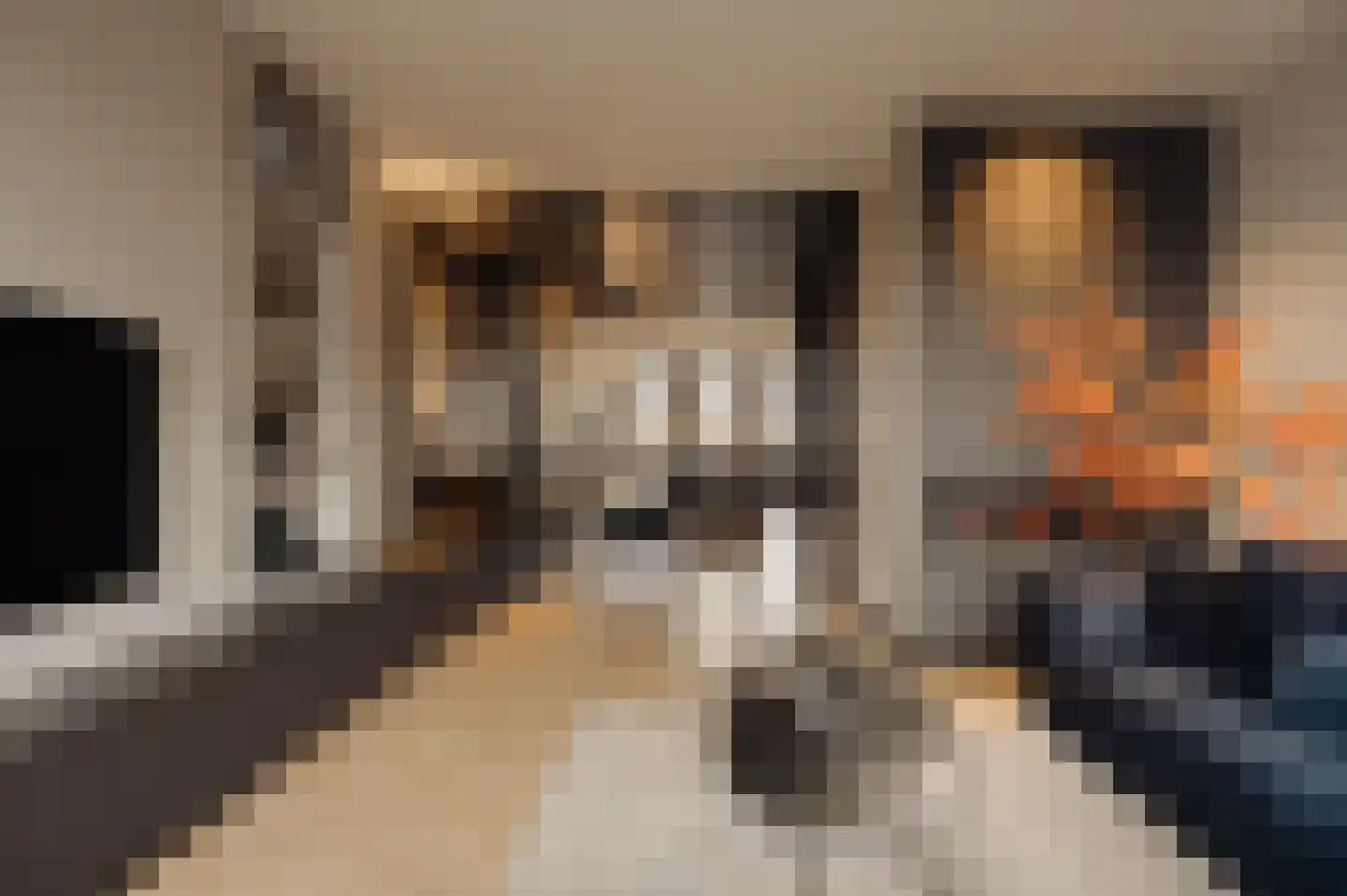 Nieuwe Prinsengracht 102 H Amsterdam thumbnail 6