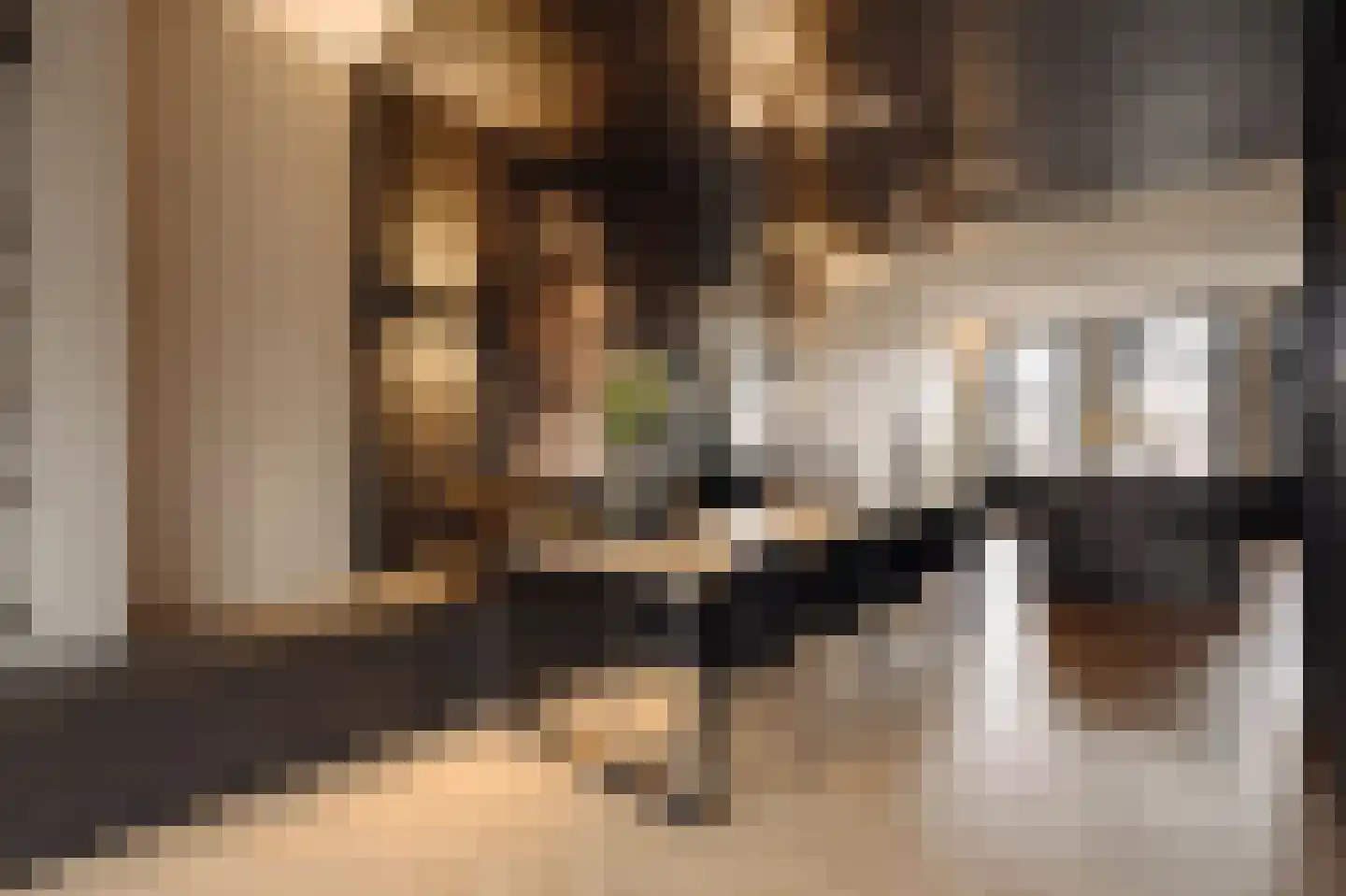 Nieuwe Prinsengracht 102 H Amsterdam thumbnail 7