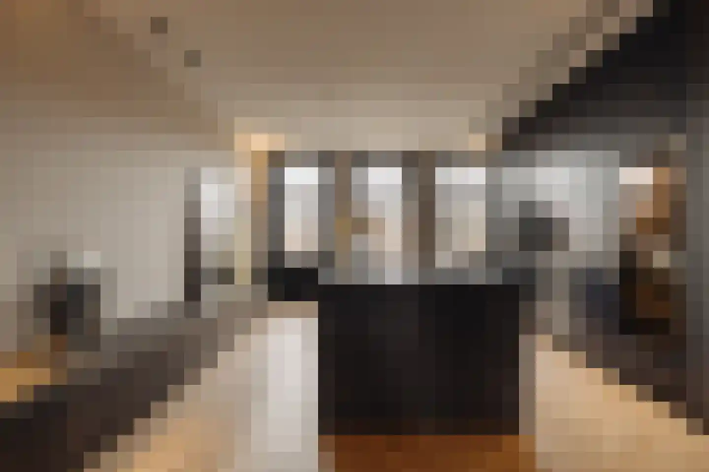 Nieuwe Prinsengracht 102 H Amsterdam thumbnail 9