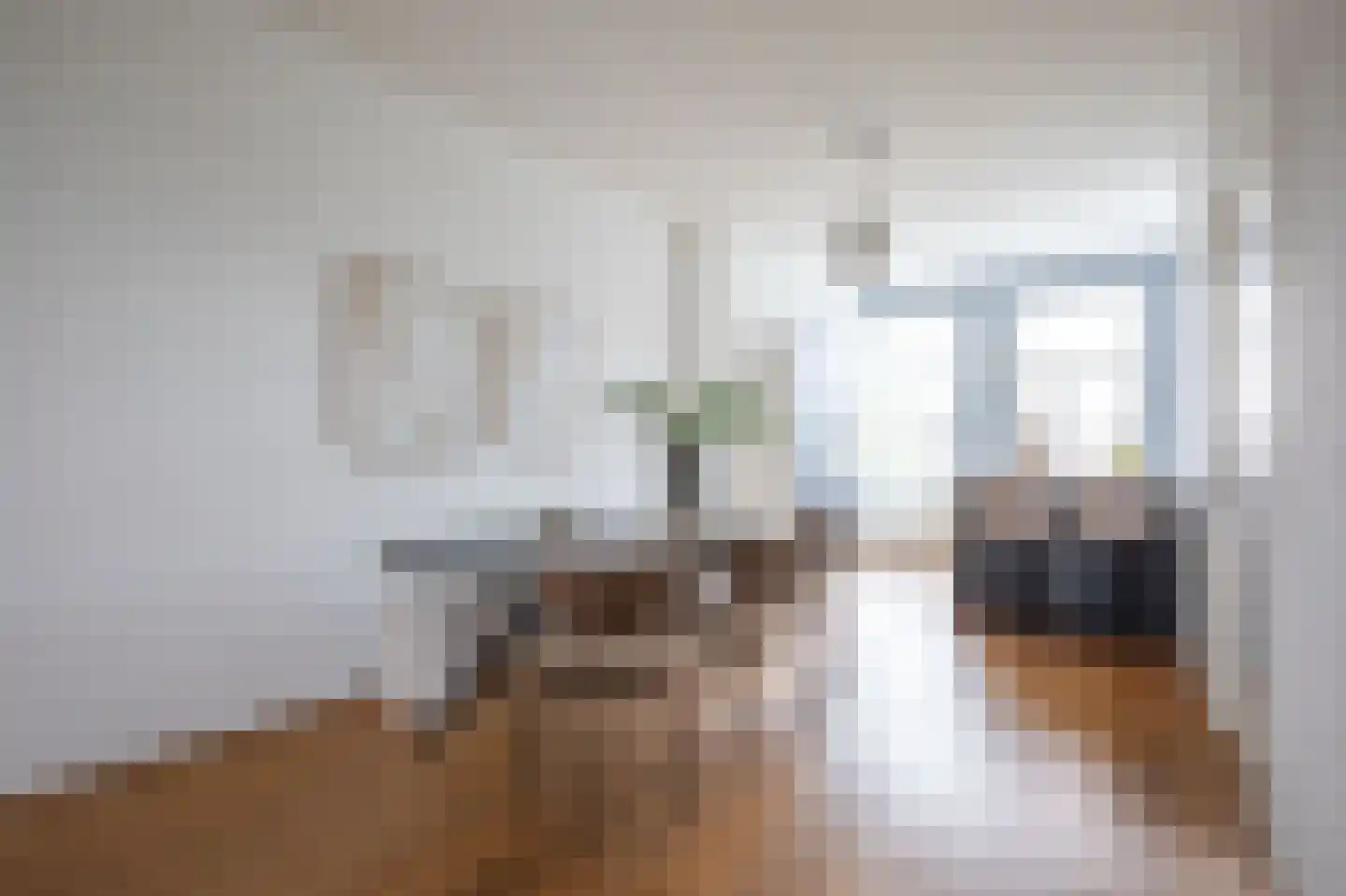 Nieuwe Prinsengracht 104 C Amsterdam thumbnail 10