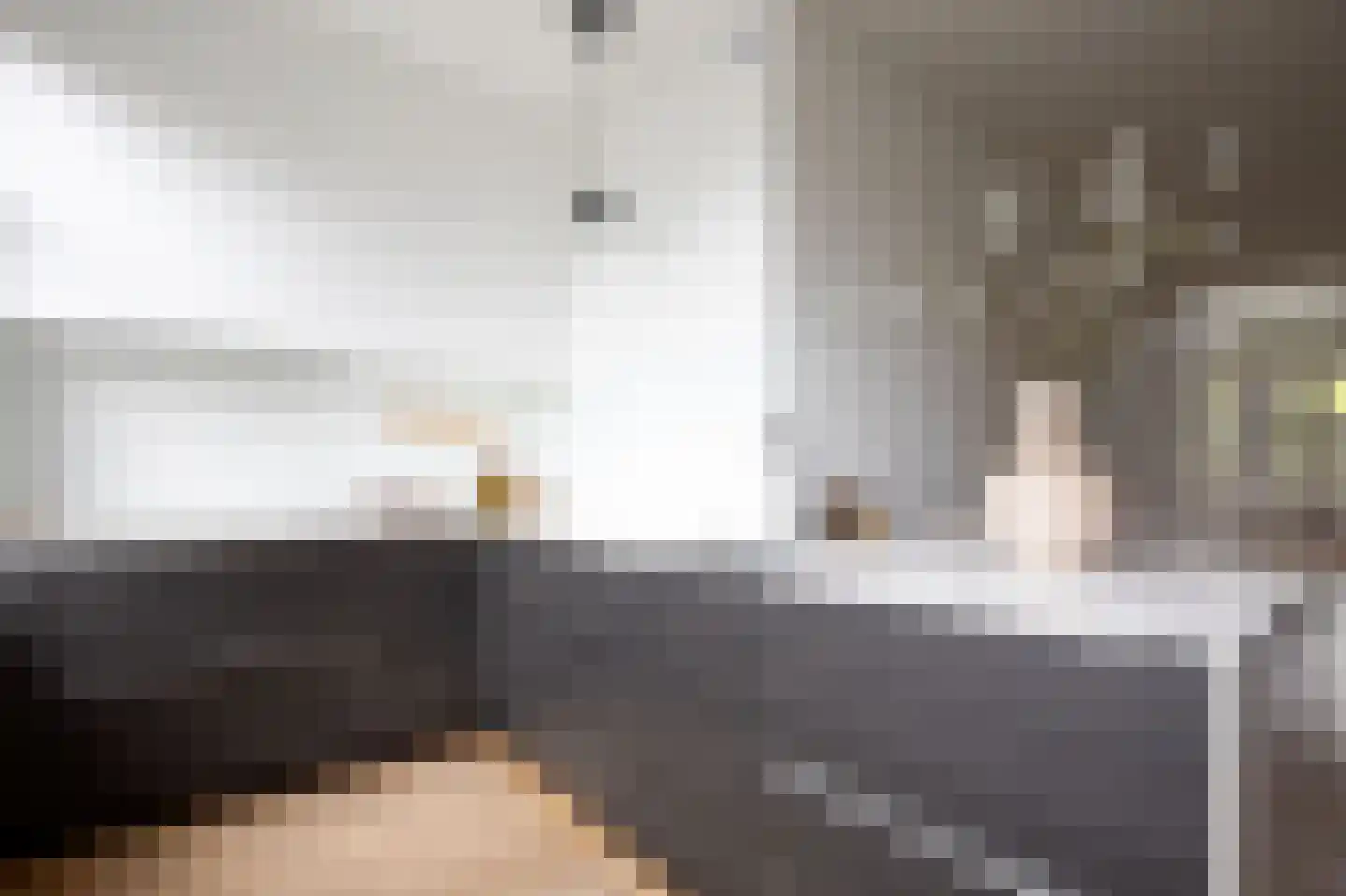 Nieuwe Prinsengracht 104 C Amsterdam thumbnail 12