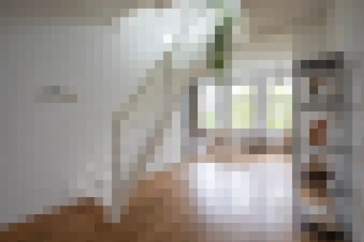 Nieuwe Prinsengracht 104 C Amsterdam thumbnail 15