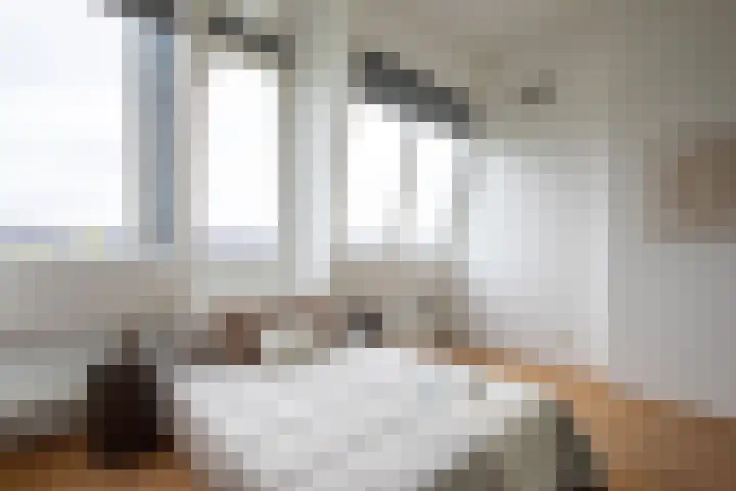 Nieuwe Prinsengracht 104 C Amsterdam thumbnail 19