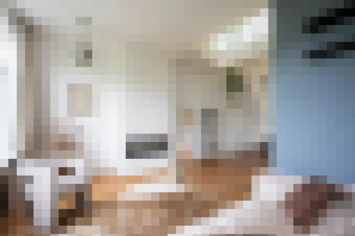 Nieuwe Prinsengracht 104 C Amsterdam thumbnail 5