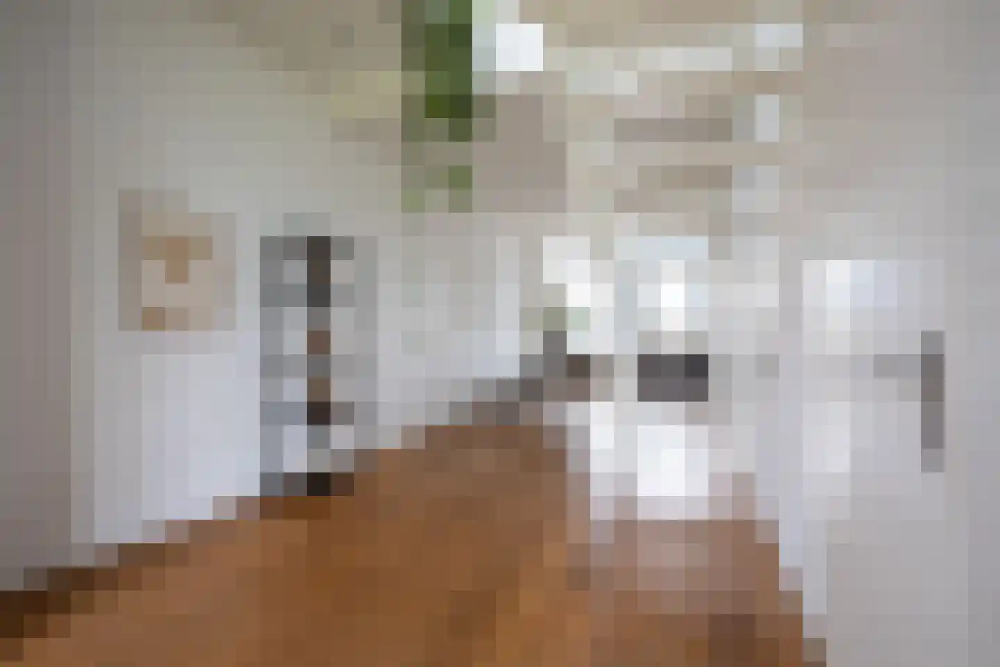 Nieuwe Prinsengracht 104 C Amsterdam thumbnail 7
