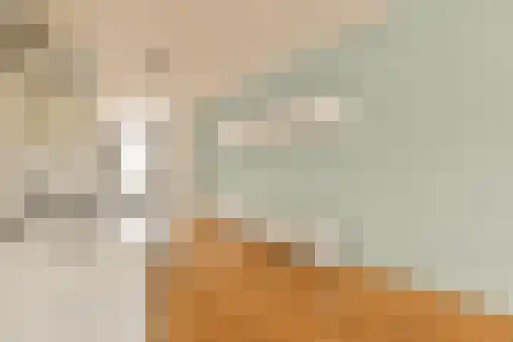 Nieuwe Prinsengracht 112 O Amsterdam thumbnail 13