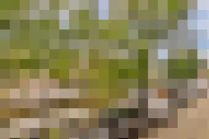 Nieuwe Prinsengracht 112 O Amsterdam thumbnail 9