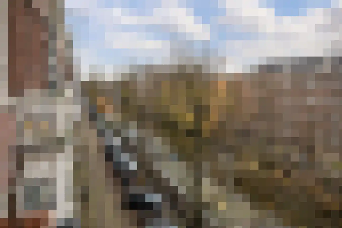 Nieuwe Prinsengracht 116 1 Amsterdam thumbnail 12
