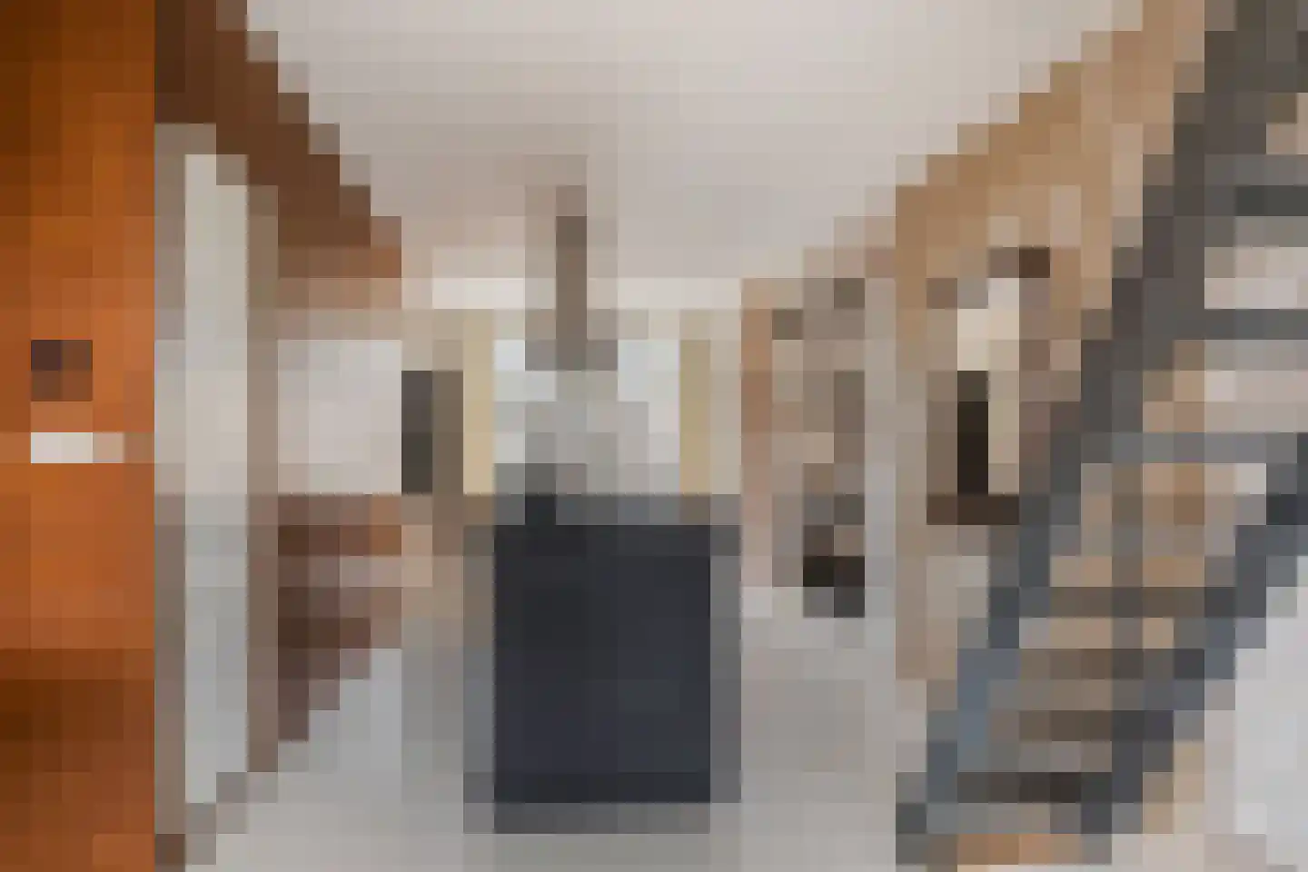 Nieuwe Prinsengracht 116 1 Amsterdam thumbnail 19