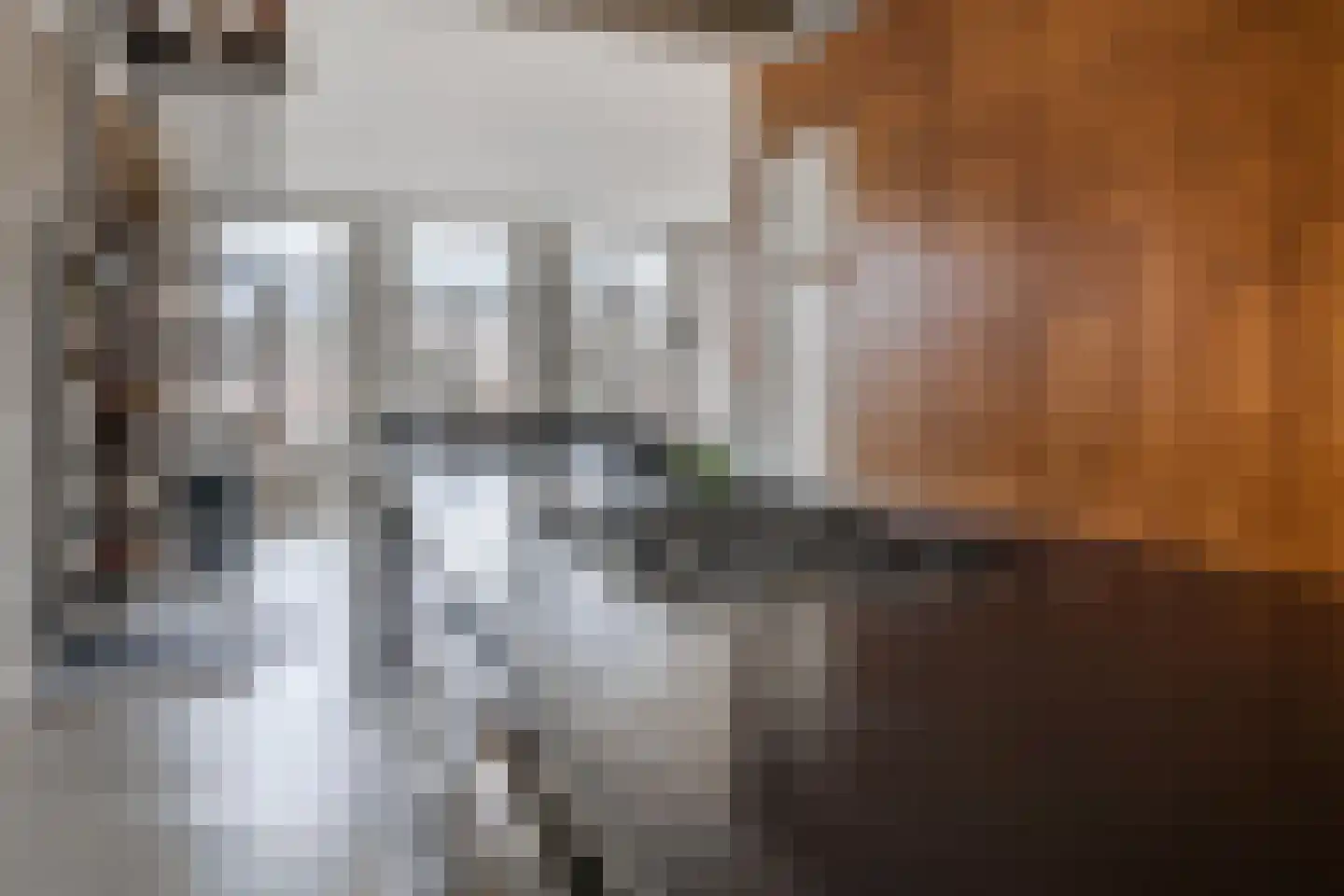 Nieuwe Prinsengracht 116 1 Amsterdam thumbnail 21