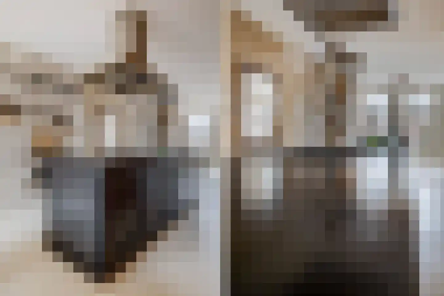 Nieuwe Prinsengracht 116 O Amsterdam thumbnail 20