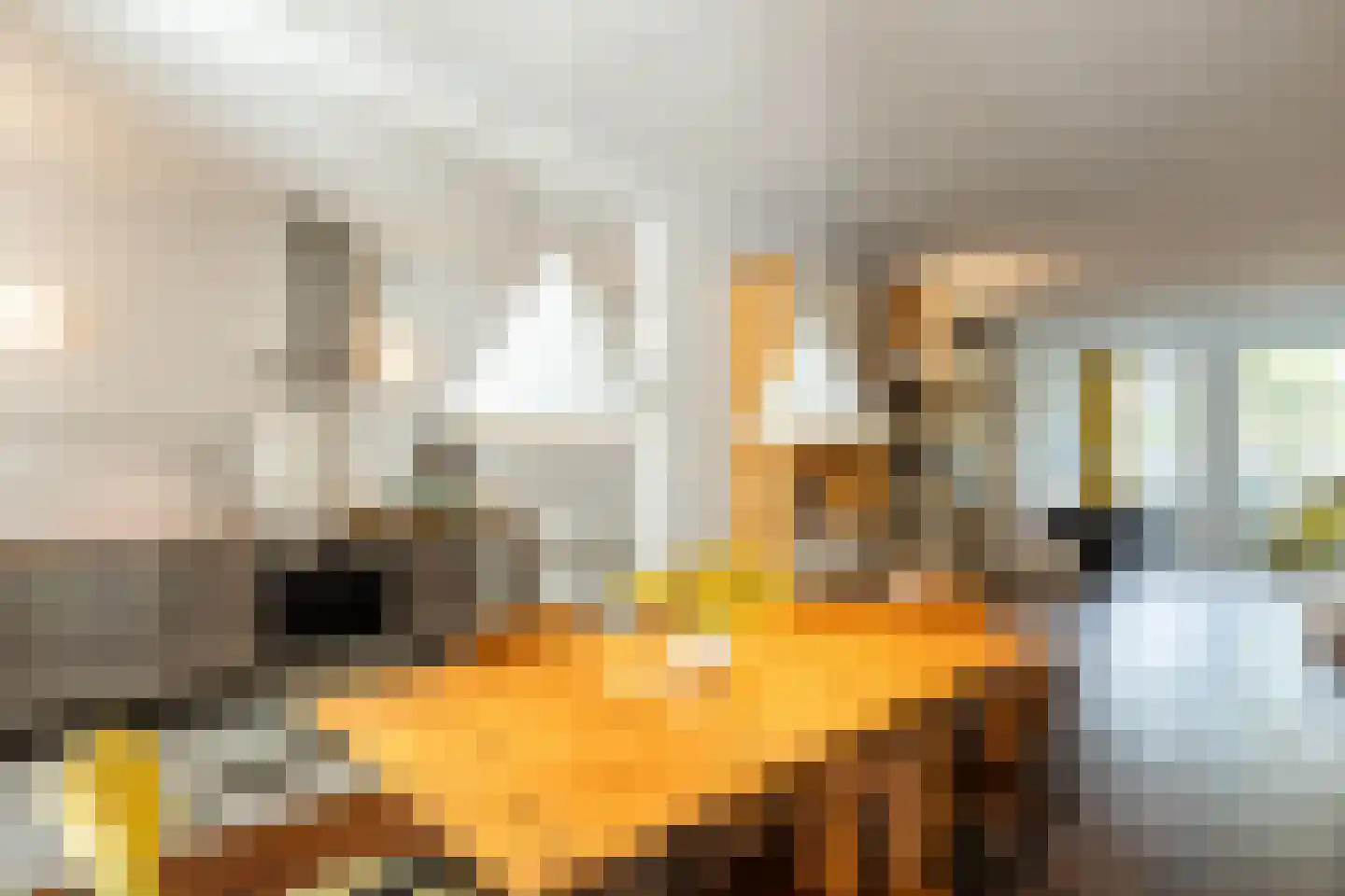 Nieuwe Prinsengracht 120 H Amsterdam thumbnail 13