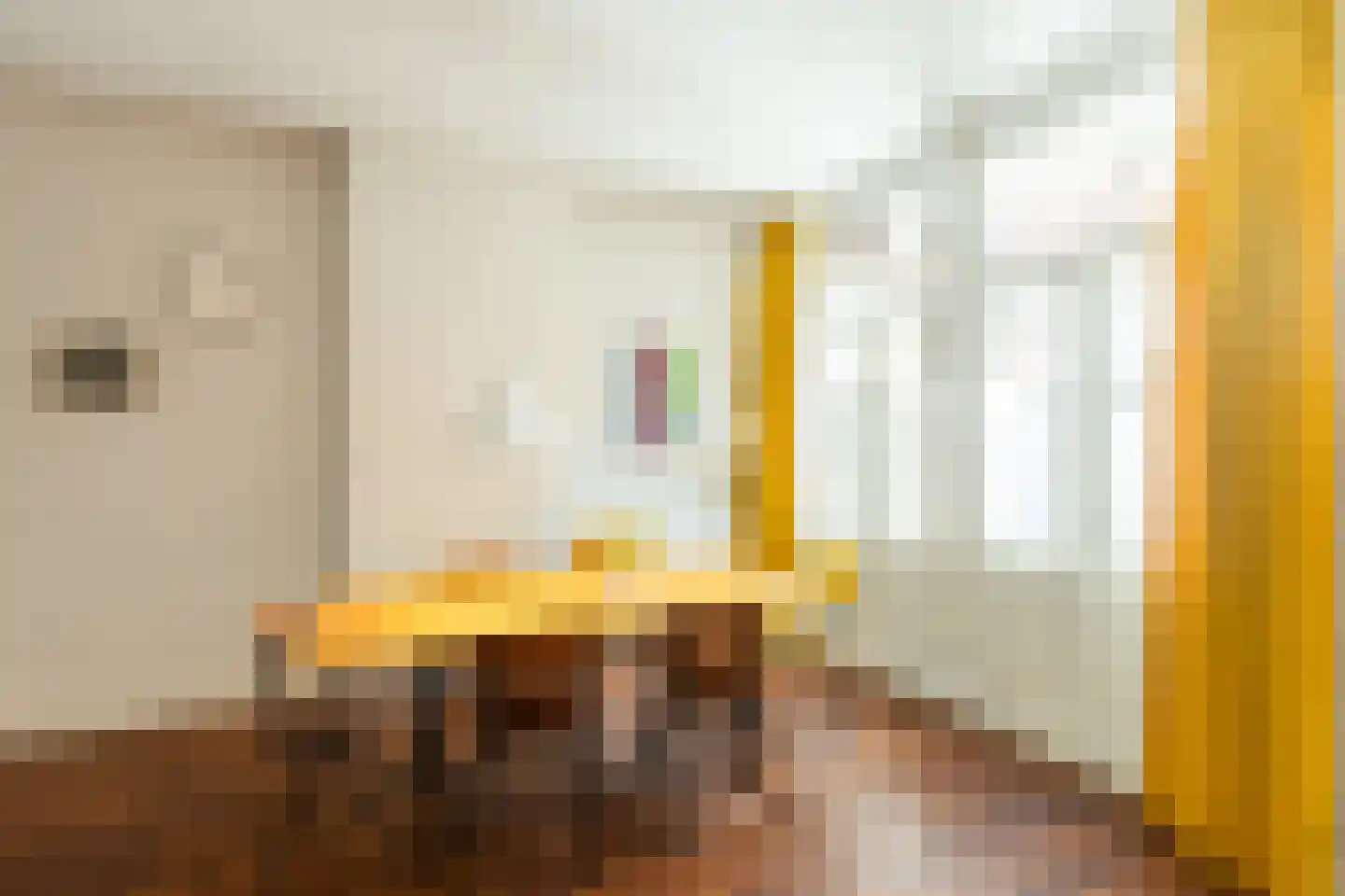 Nieuwe Prinsengracht 120 H Amsterdam thumbnail 15