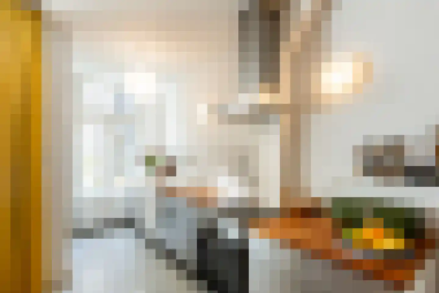 Nieuwe Prinsengracht 120 H Amsterdam thumbnail 17